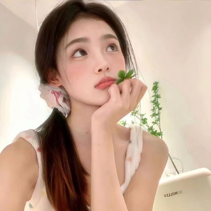 多宝白菜网